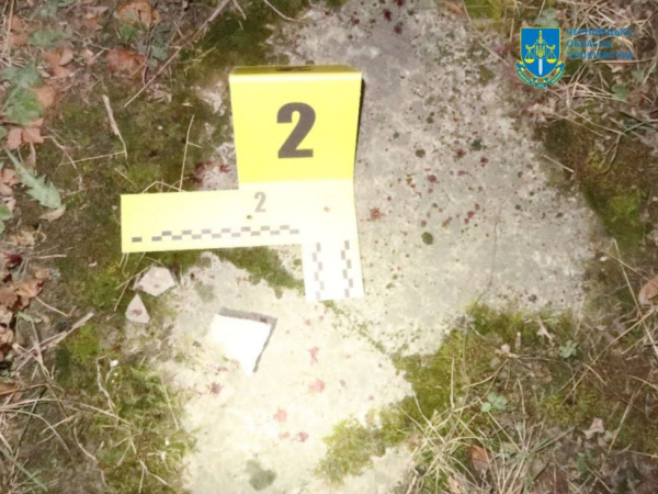 Жителя Вижницького району судитимуть за умисне вбивство » ТВА