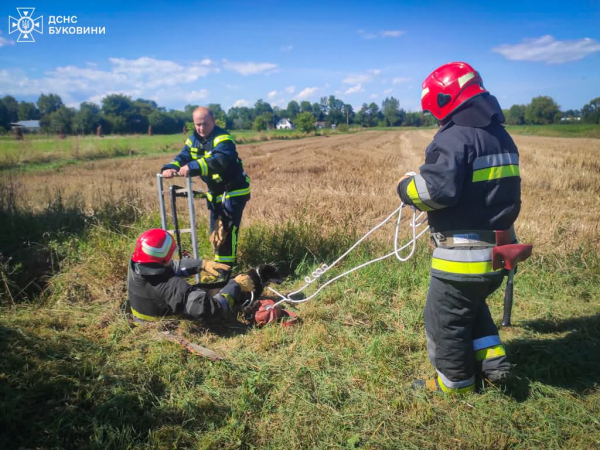 На Буковині рятувальники визволили собаку з криниці » ТВА