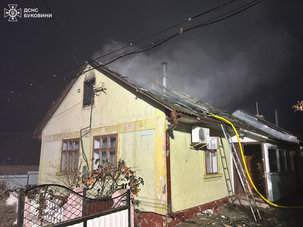 Минулої доби рятувальники ліквідували 2 пожежі в житловому секторі та врятували кошенят » ТВА