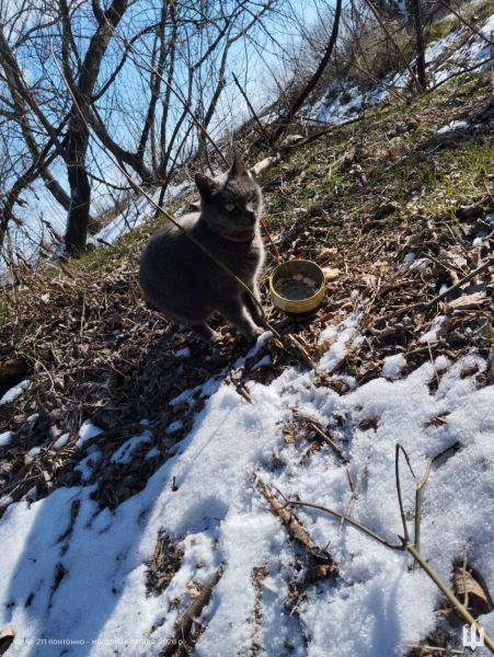 Захисник із Буковини отримав відзнаку Міністра оборони України &laquo;Захиснику України&raquo; &raquo; ТВА